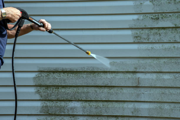 Best House Exterior Washing  in Pagedale, MO